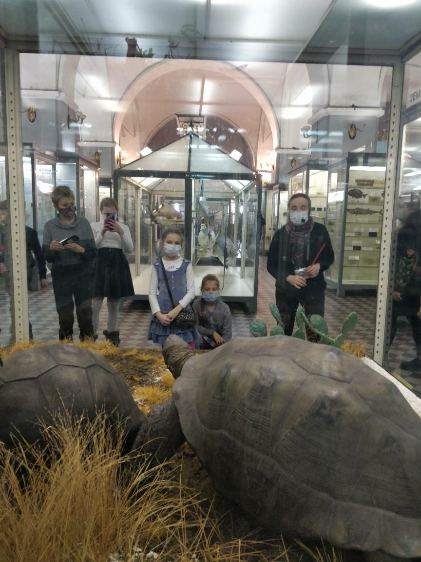 IMG 20220310 153051